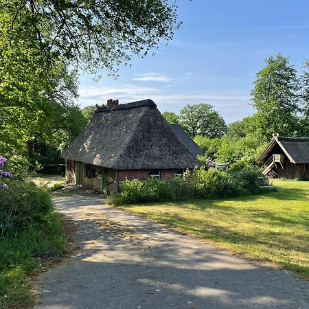 Heidehof Oberhaverbeck Villa Bispingen Exteriör bild