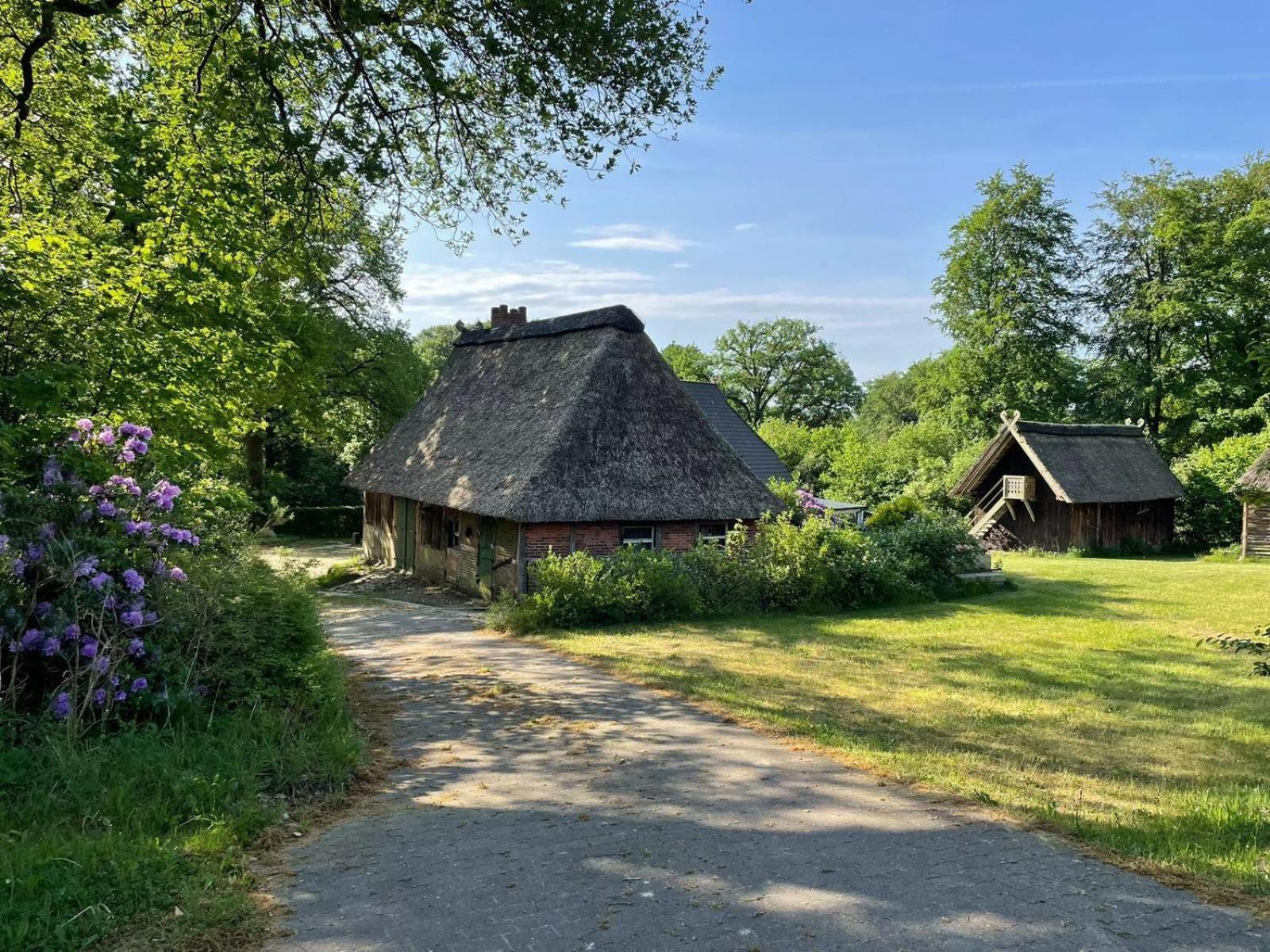 Heidehof Oberhaverbeck Villa Bispingen Exteriör bild